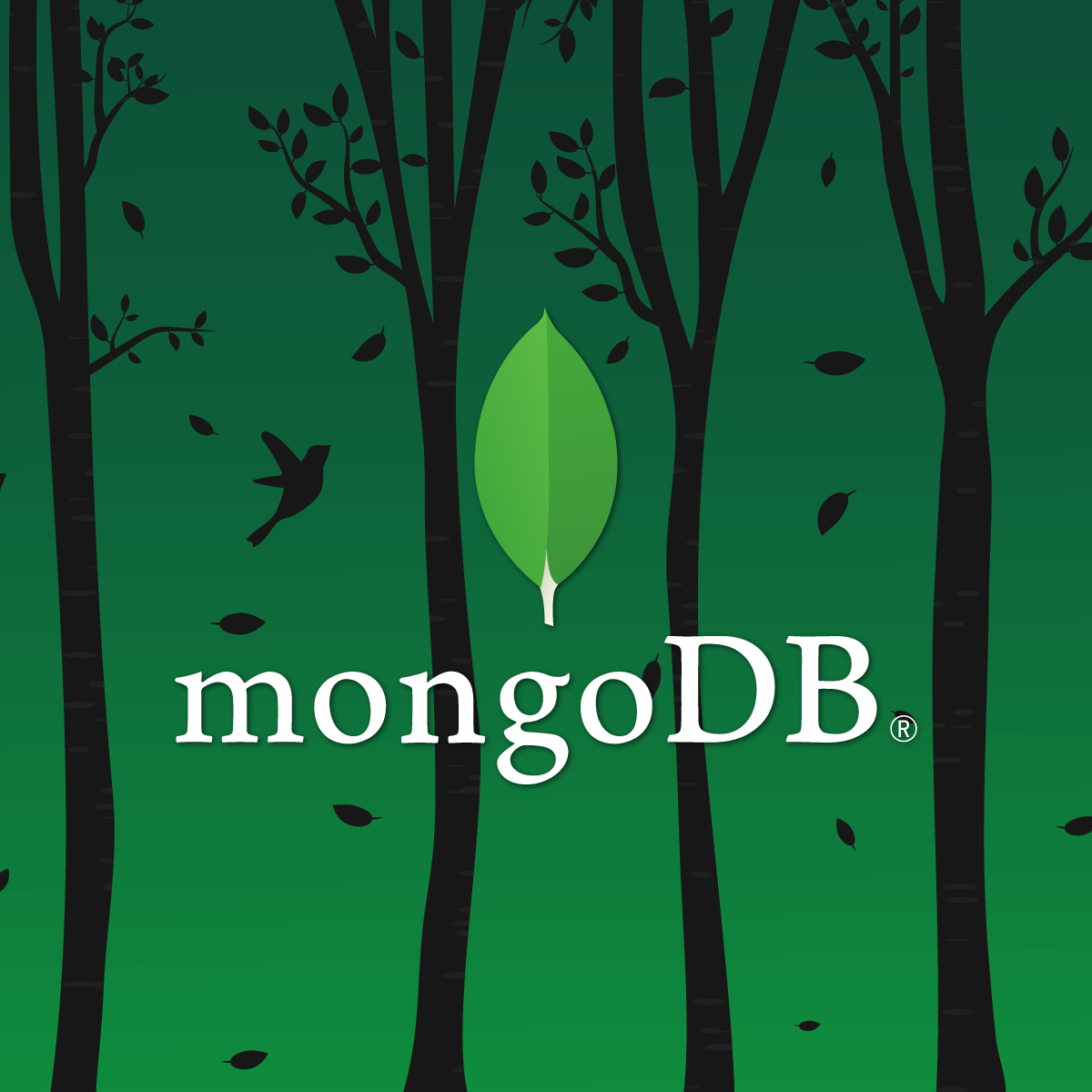 Formation MongoDB